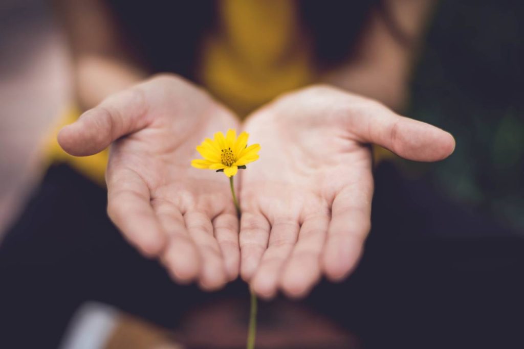 Main Image: Open hands with palm facing upwards with a yellow flower in between the hands